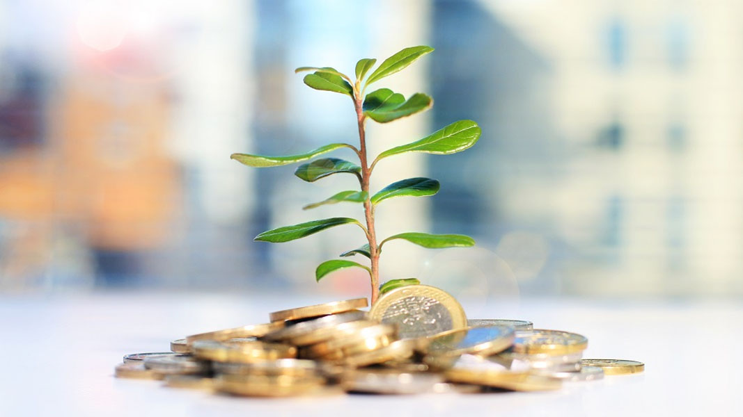 Title: A Beginner’s Guide to Microinvesting: GreenSprout’s Insights