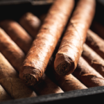 Food Industry Sanitation with Dry Ice Blasting