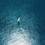 The Most Cost-Effective Ways To Approach Business Training