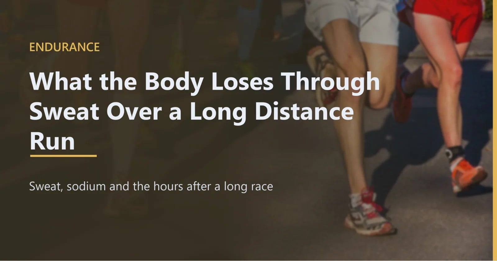What the Body Loses Through Sweat Over a Long Distance Run